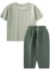 Cigit Organik Şalvarlı Palmiye Baskılı T-Shırt Takım 1-5 Yaş Su Yeşili resmi