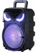 Zore Pk-17 Fm Radyolu Mikrofonlu Rgb Tws 8 Inç Stereo Bass Kablosuz Karaoke Hoparlör